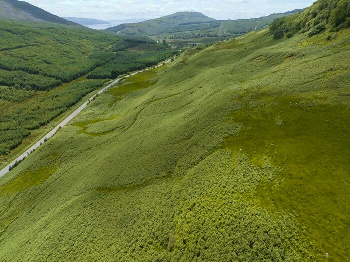 Land For Sale In Brenchoille Farm, Furnace, Inveraray, PA32