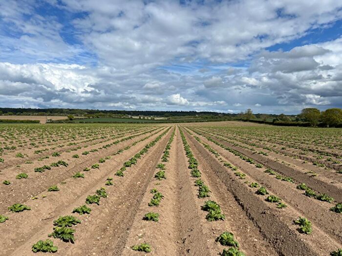 Farm Land For Sale In . Acres Of Arable Land, Aylmerton, NR11