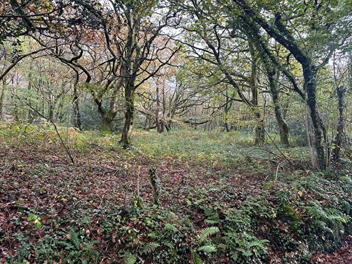 Land For Sale In Cwmfelin Road, Betws, Ammanford, SA18