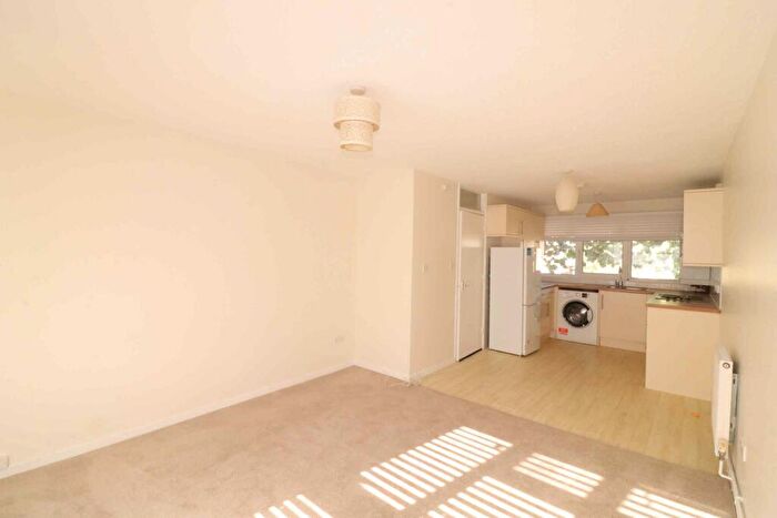 1 Bedroom Flat To Rent In Laurel Grove / Penge, SE20