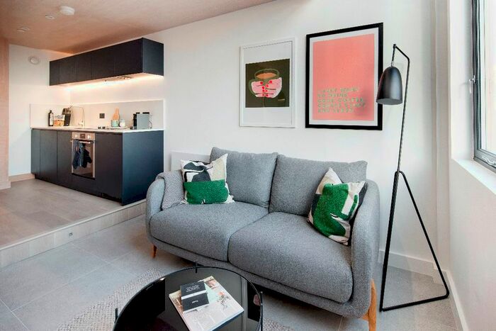 1 Bedroom Flat To Rent In Sky Gardens, Castlefield, M15