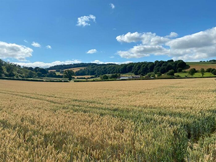 Farm Land For Sale In Wigmore, HR6