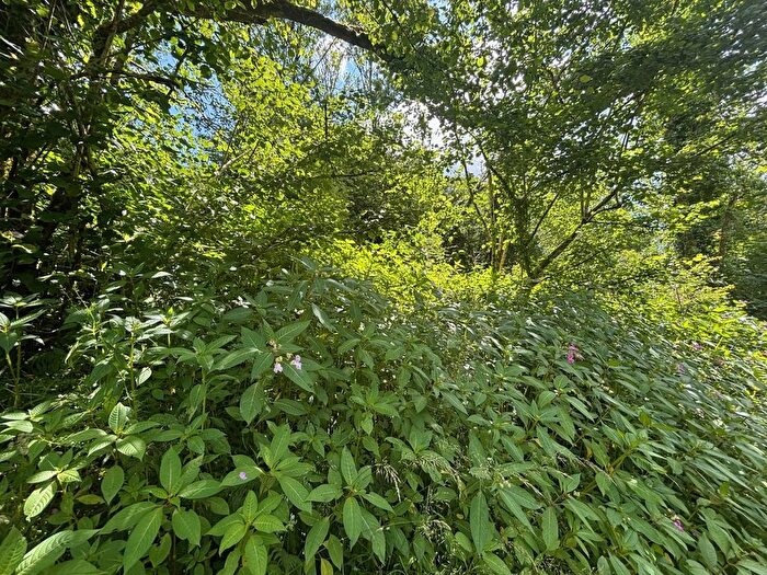 Land For Sale In Llanfynydd, Carmarthen, Carmarthenshire., SA32