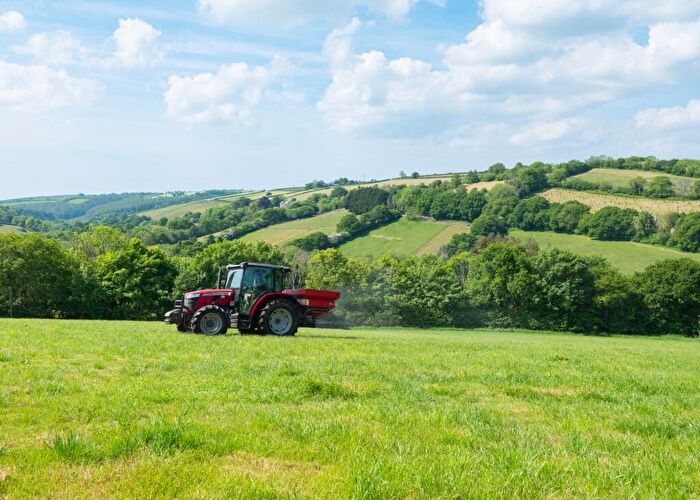 Land For Sale In Horningtops, Liskeard, Cornwall, PL14