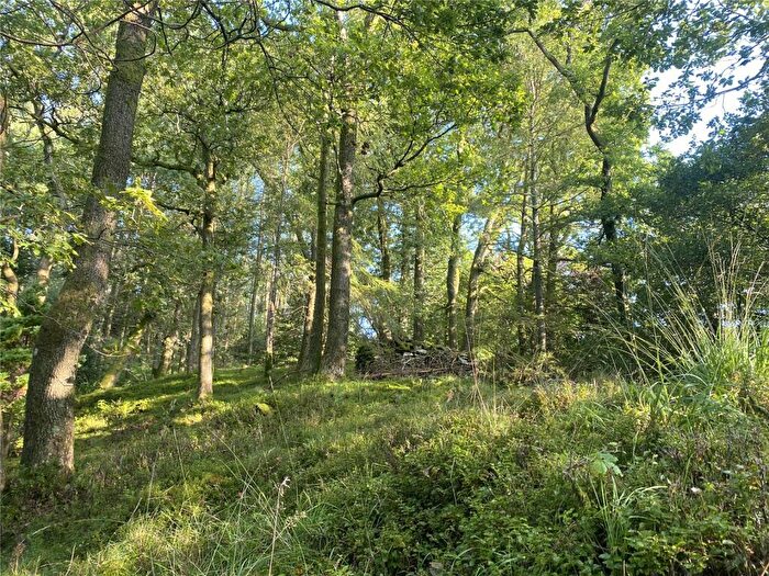 Land For Sale In Amenity Woodland Off Holbeck Lane, Troutbeck, Cumbria, LA23