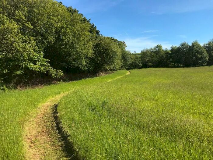 Land For Sale In Penquit, Ermington, PL21