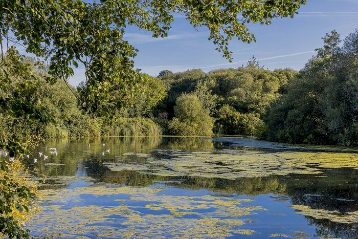 2 Bedroom Semi-Detached House For Sale In Smannel Road, Andover, SP11