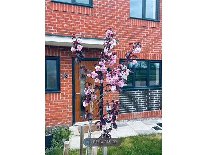 3 Bedroom Semi-detached House To Rent In Balwen Close, Winsford, CW7