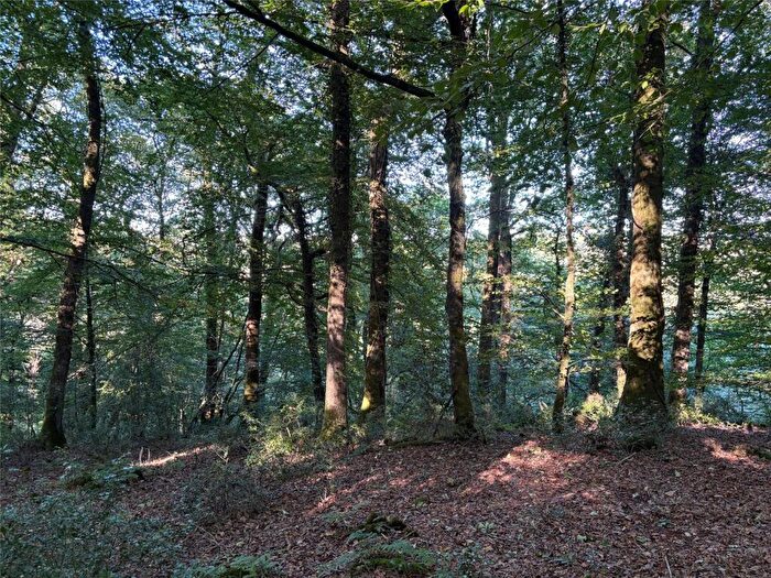 Land For Sale In Dolton, Winkleigh, Devon, EX19