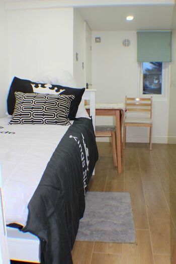 Studio To Rent In Gipsy Road, London, SE27