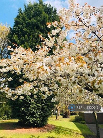 2 Bedroom Flat To Rent In Stockdale Place, Birmingham, B15