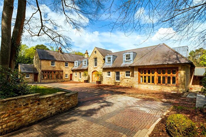 5 Bedroom Detached House To Rent In Wilderwick, Wilderwick Road, East Grinstead, West Sussex, RH19