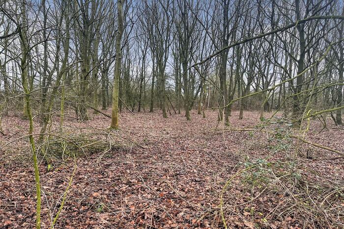 Land For Sale In North Street And Litcham Road, Great Dunham, King's Lynn, PE32