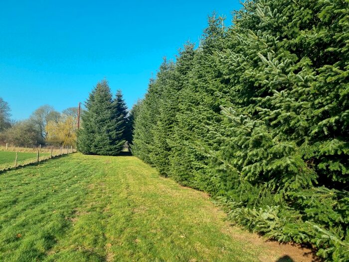 Land For Sale In Popham, Micheldever, Winchester, SO21