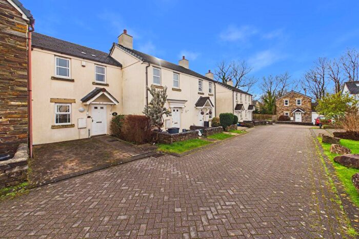 3 Bedroom Terraced House For Sale In Vicks Meadow, Hatherleigh, EX20