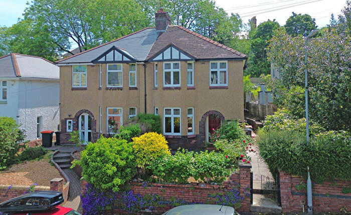 3 Bedroom Semi Detached House For Sale In Llanthewy Road, Newport, NP20