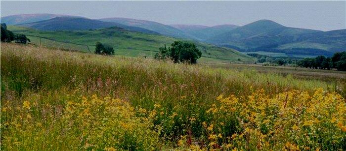 Land For Sale In Land At Dreva Road, Broughton, Biggar, Lanarkshire, ML12