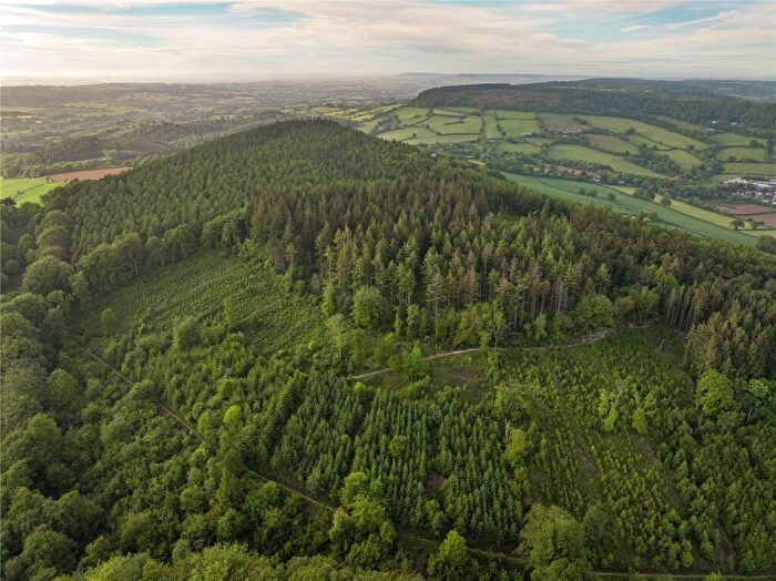 Land For Sale In Sidmouth Woods, Sidmouth, Devon, EX10