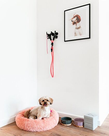 1 Bedroom Apartment To Rent In Silvertown Way, London, E16