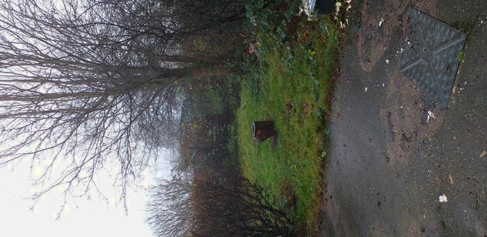 3 Bedroom Semi-Detached House To Rent In Forest Avenue, Walsall WS3