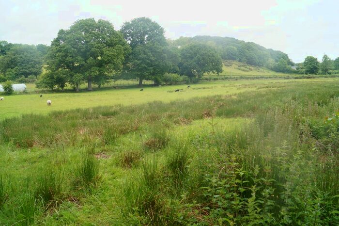 Land For Sale In Pentrebach, Lampeter, Jr, Lampeter, SA48