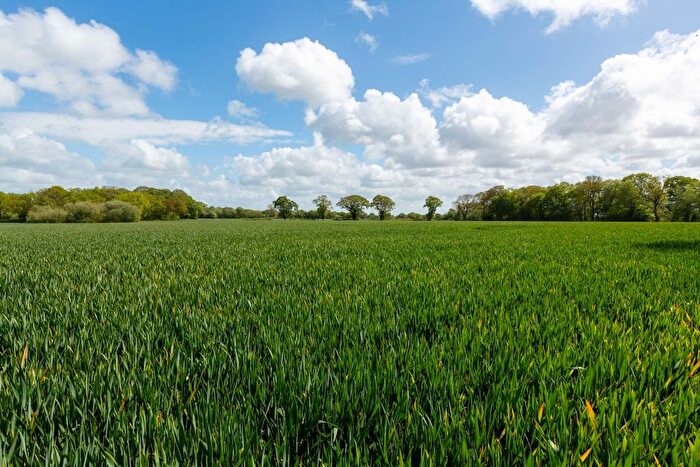 Land For Sale In Lot | Top Land, Puddington Lane, Puddington, Cheshire, CH64