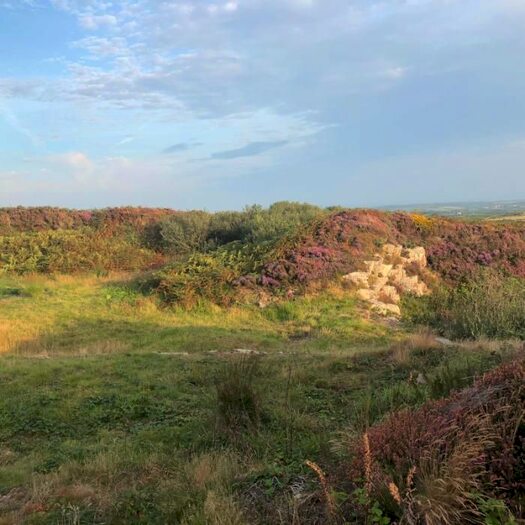 Property For Sale In Sancreed, Penzance, Cornwall TR20