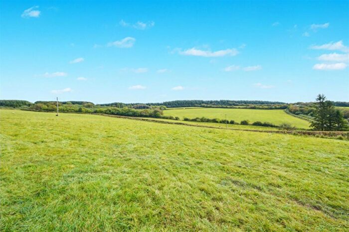 Land For Sale In Nr Ashwater, Devon, EX21