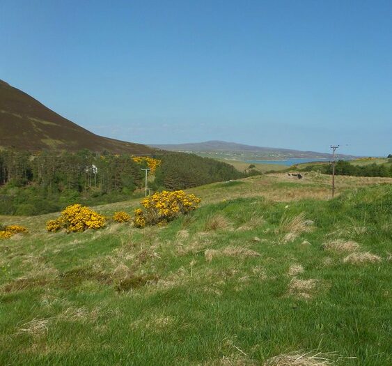 Land For Sale In Strathtongue, Tongue, Sutherland, IV27