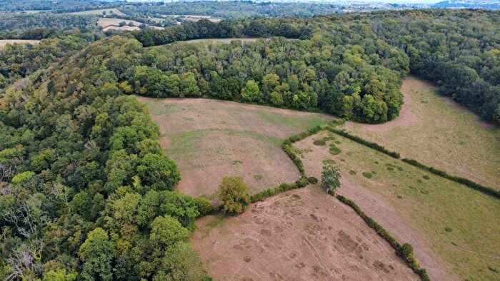 Land For Sale In . Acres Of Woodland, Beauville Farm, Dinas Powys, CF64