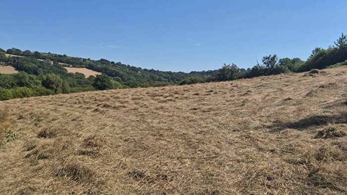 Land For Sale In Land At Brynglas, Llangeitho, SY25