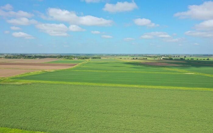 Farm Land For Sale In Oakhurst Farm Crowland Road Eye Peterborough - Lot, PE6