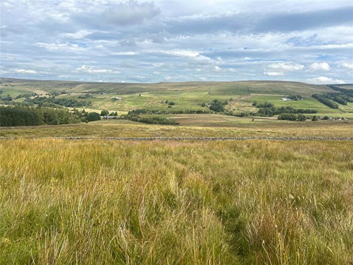 Land For Sale In Land At Far Galligill, Nenthead, Alston, Cumbria, CA9