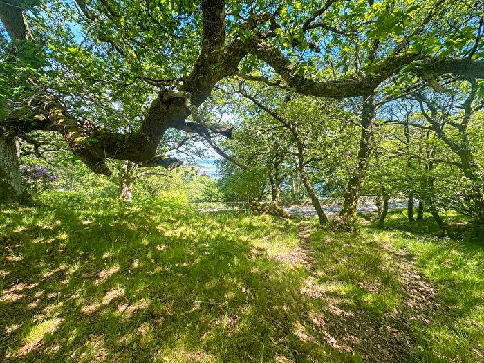 Land For Sale In Camas Inas, Acharacle, PH36