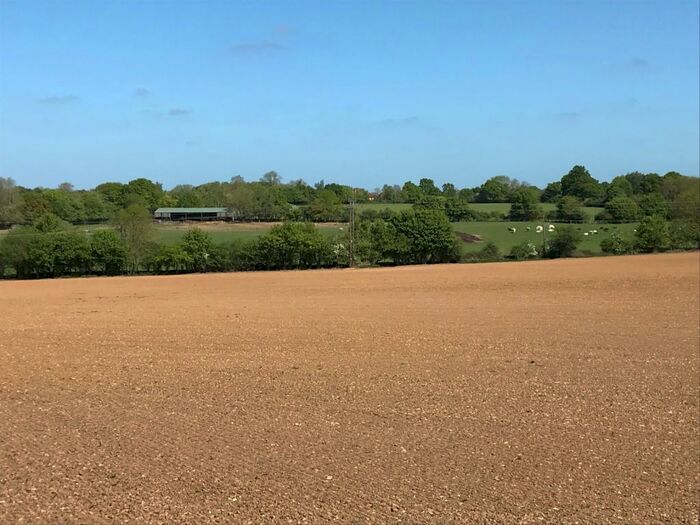 Property For Sale In Lower Green Road, Blackmore End, Braintree, CM7