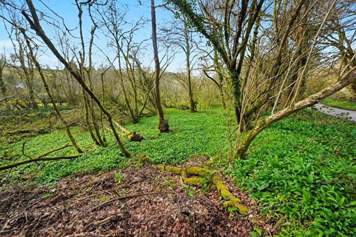 Land For Sale In St Keyne, Liskeard, PL14