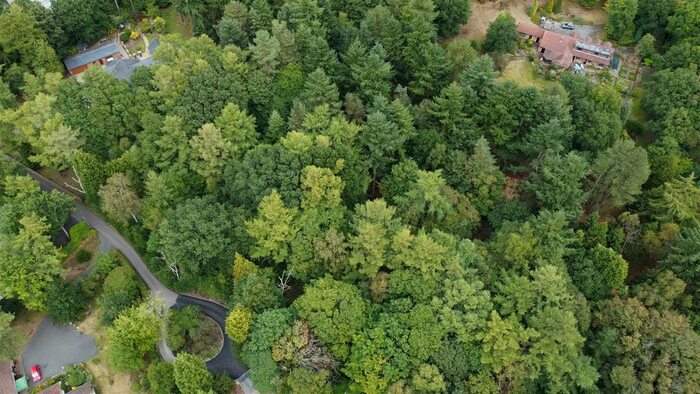 Land For Sale In Haggnook Wood, Ravenshead, Nottingham, NG15