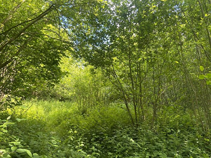 Farm For Sale In Bockleton, Tenbury Wells, WR15