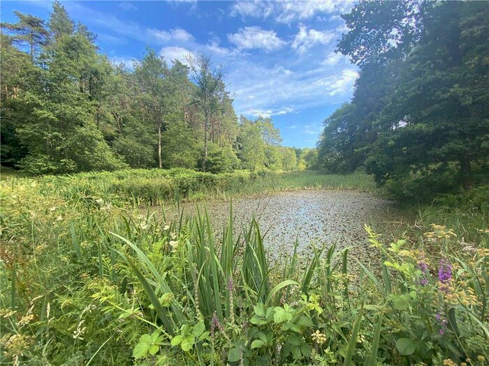 Land For Sale In Toller Porcorum, Dorchester, Dorset, DT2
