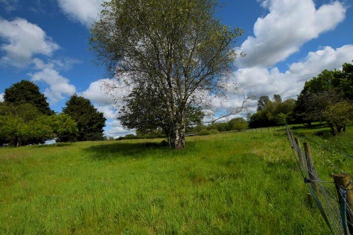 Land For Sale In Kingsley, GU35