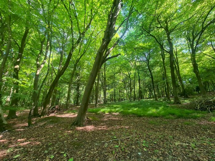 Land For Sale In Nottwood, Henley-On-Thame, RG9