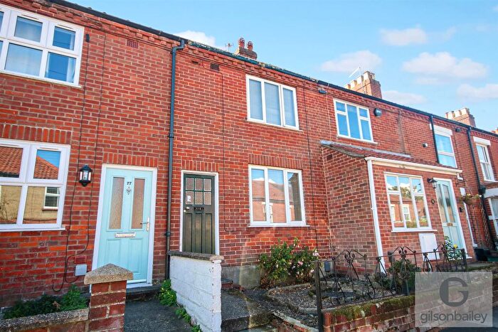 3 Bedroom Terraced House For Sale In Northcote Road, Norwich, NR3