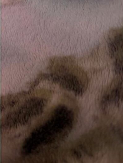 4 Bedroom Detached House To Rent In Pargeter Road, Sandwell, West Midlands, B67