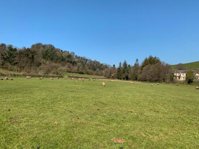Land For Sale In Harberton, Totnes, TQ9