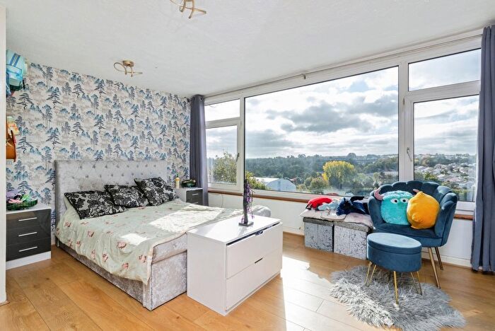 3 Bedroom Terraced House For Sale In Waterleat Road, Paignton, Devon, TQ3
