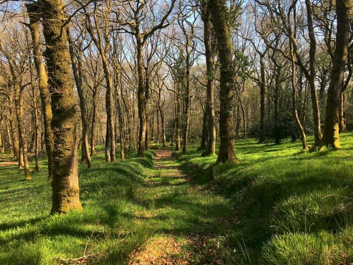 Farm Land For Sale In Stoodleigh, Tiverton, EX16