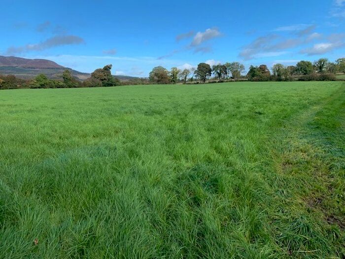 Property For Sale In Longfield Road, Forkhill, Newry, BT35