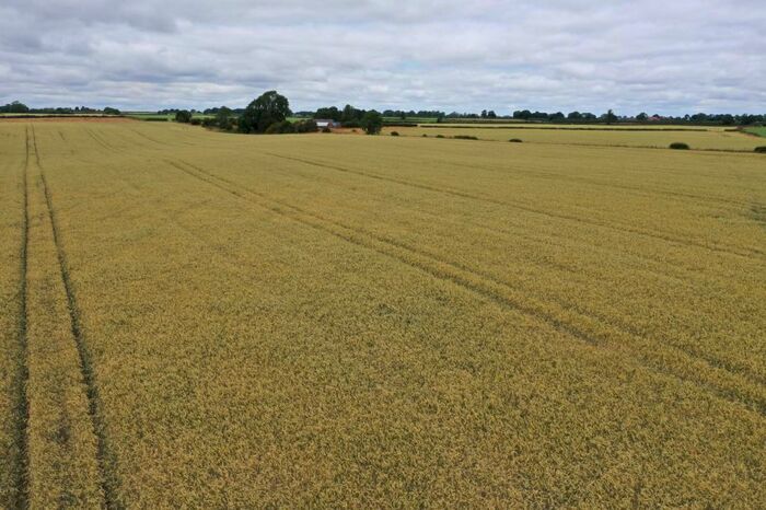 Farm Land For Sale In Waltham Road, Goadby Marwood, Melton Mowbray, LE14