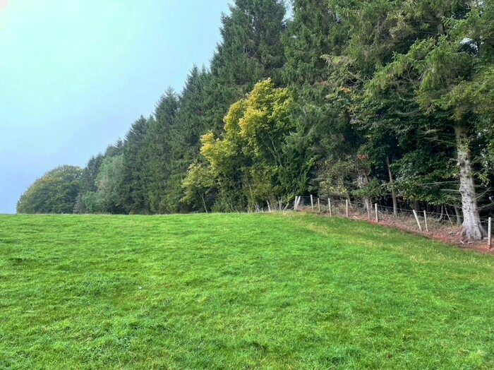 Land For Sale In Boothby Bank Woods, Boothby, Lanercost, Brampton, CA8