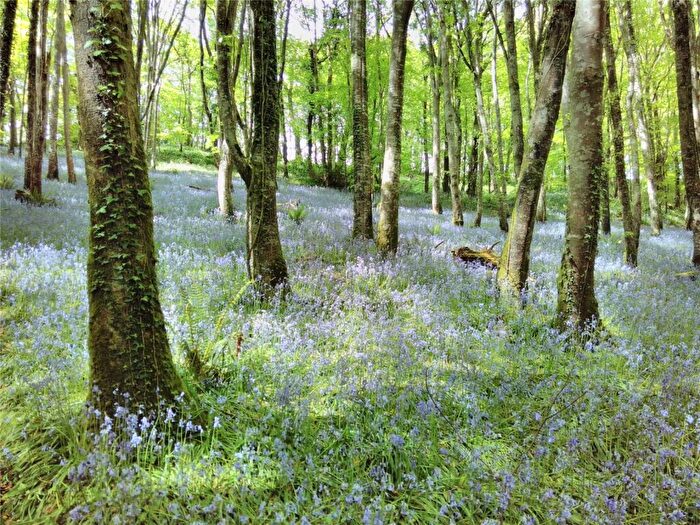 Land For Sale In Duloe, Liskeard, Cornwall, PL14